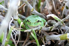 Killikus&reg; Fotographie